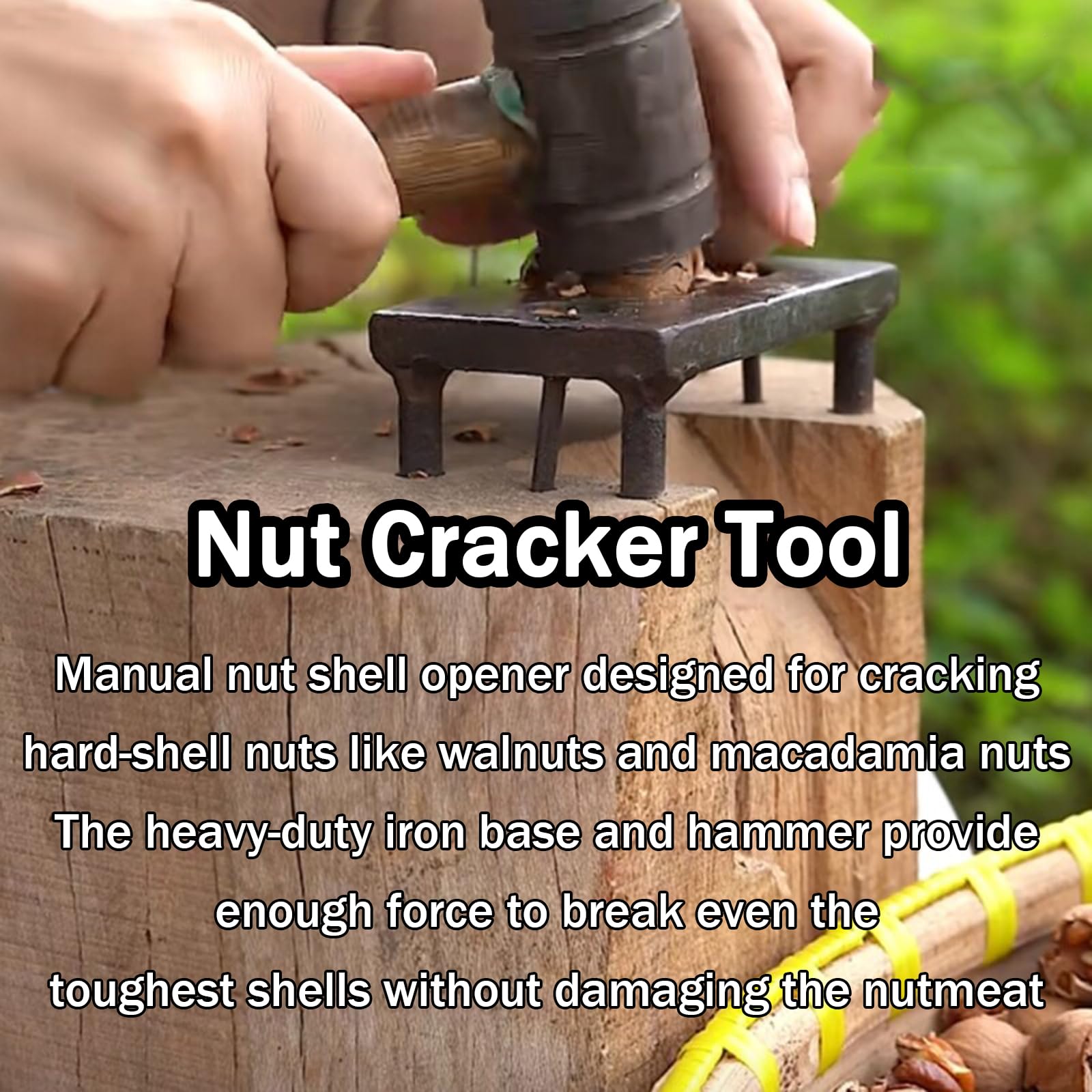 Cascanueces manual, pinzas resistentes para nueces, con base de hierro, martillo, avellanas con un diámetro de 12/16/19 mm, para nueces, nueces, avellanas, almendras, nueces
