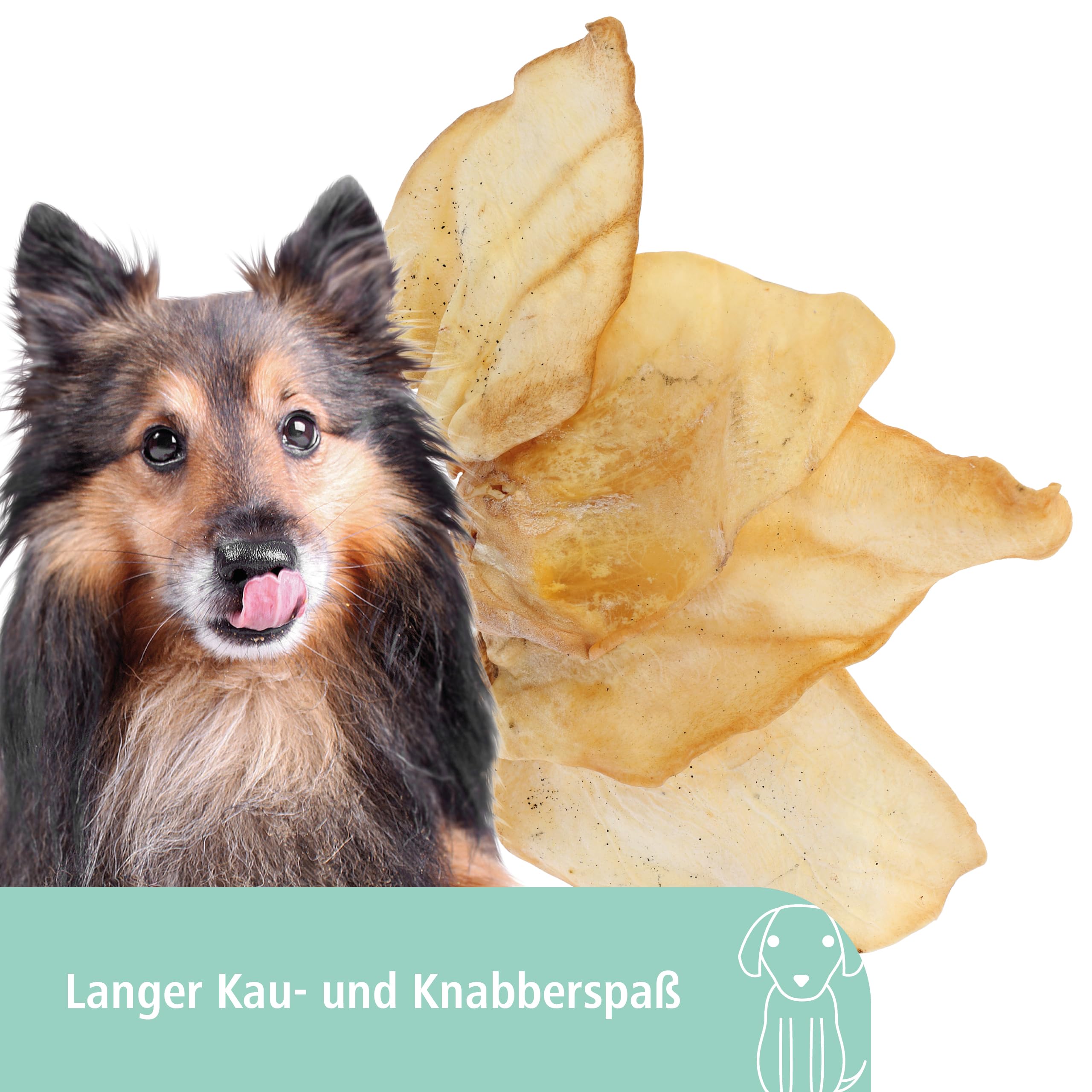 BF Petfood Dental Rol Large - Kauwartikelen - tuin