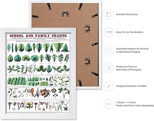 Miniatura 129 de Poster Master Póster vintage de orquídea, estampado de flores retro, arte de pared de plantas exóticas, arte botánico, regalo para hombres y