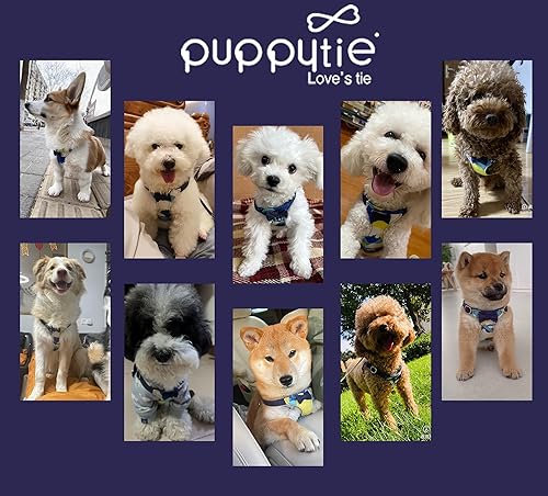 Miniatura 5 de Arnés sin tirones para perro, con correa multifunción, pechera ligera, suave y ajustable para mascota, no ahorca, chaleco a prueba de escape, con