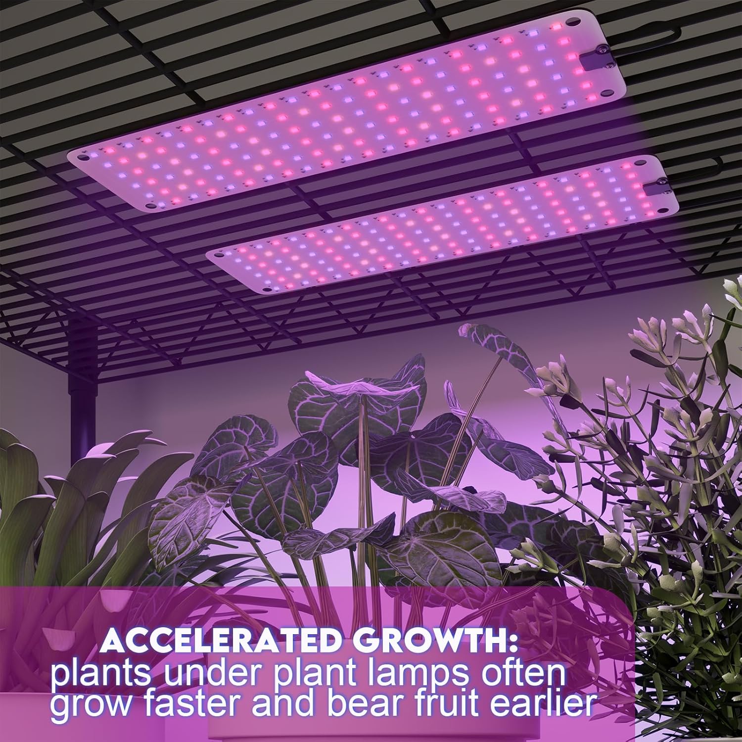 Under Cabinet Grow Light, LED Grow Lights for Indoor Plants Full Spectrum, Plants Light for Shelves with Auto Timer 3/9/12H, 616LEDs Ultra-Thin Grow Light Panel for Seed Starting, Flowers, Veg, 8pcs