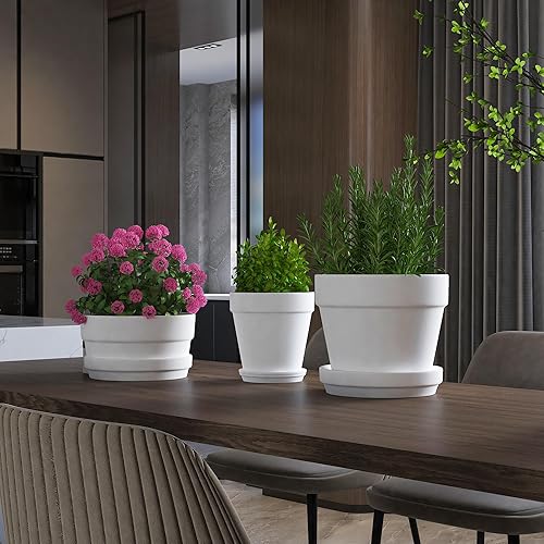 Miniatura 6 de Fcacti Paquete de 6 macetas de terracota blanca de 4.5 pulgadas con platillo, macetas de arcilla con orificio de drenaje, macetas de arcilla para