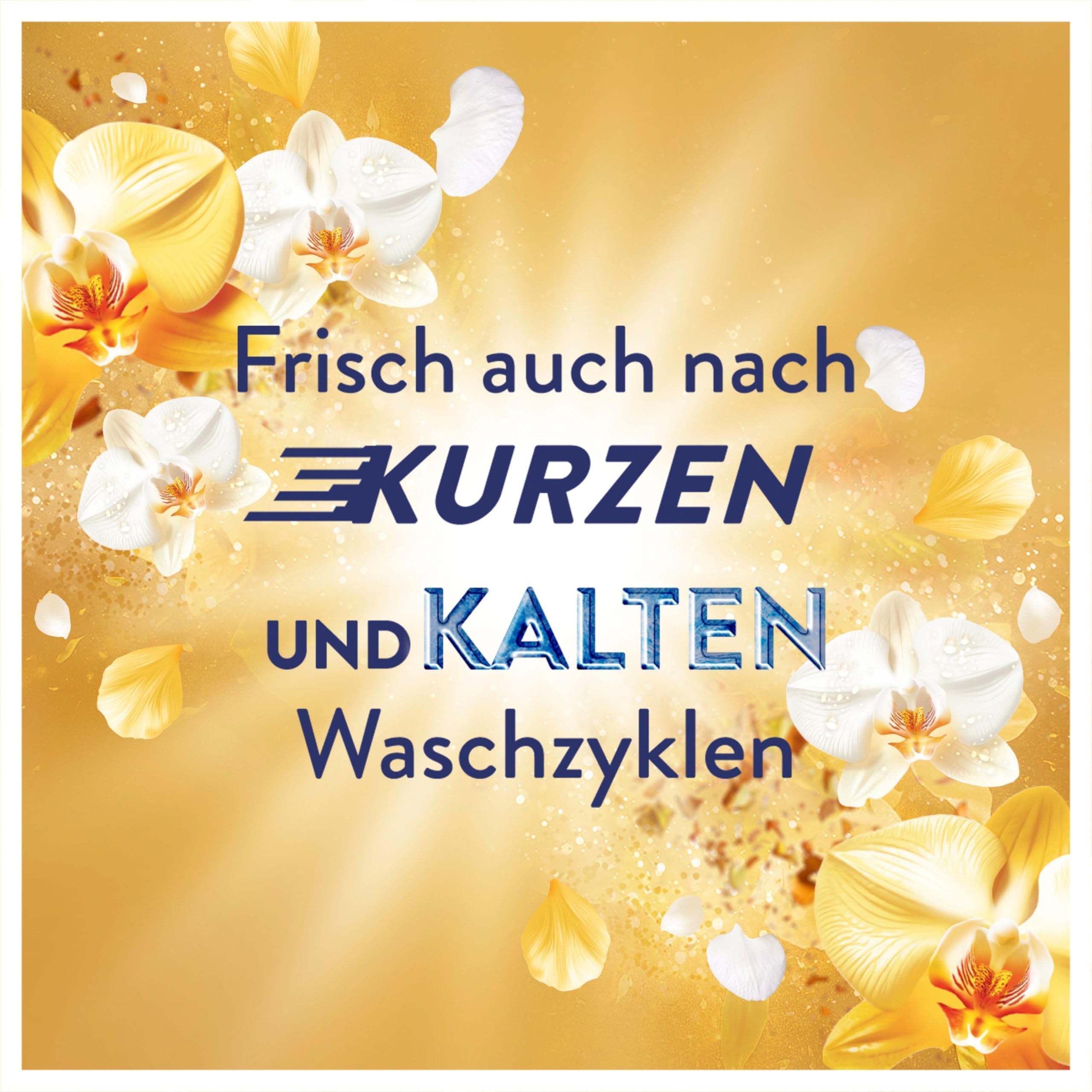 Lenor Weichspüler 12x38 Waschladungen, Goldene Orchidee, 24H Unwiderstehliche Frische
