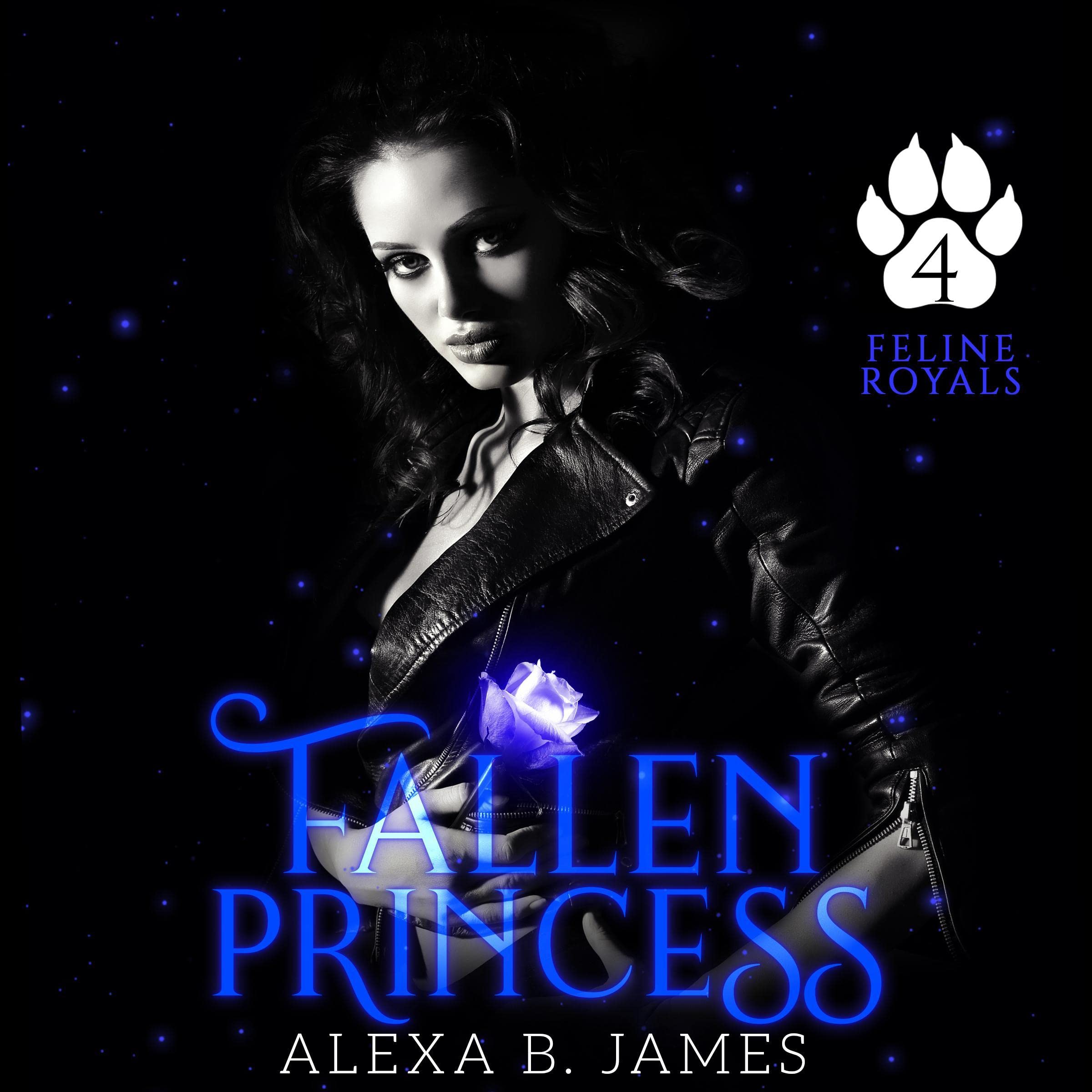 Cover art for Fallen Princess