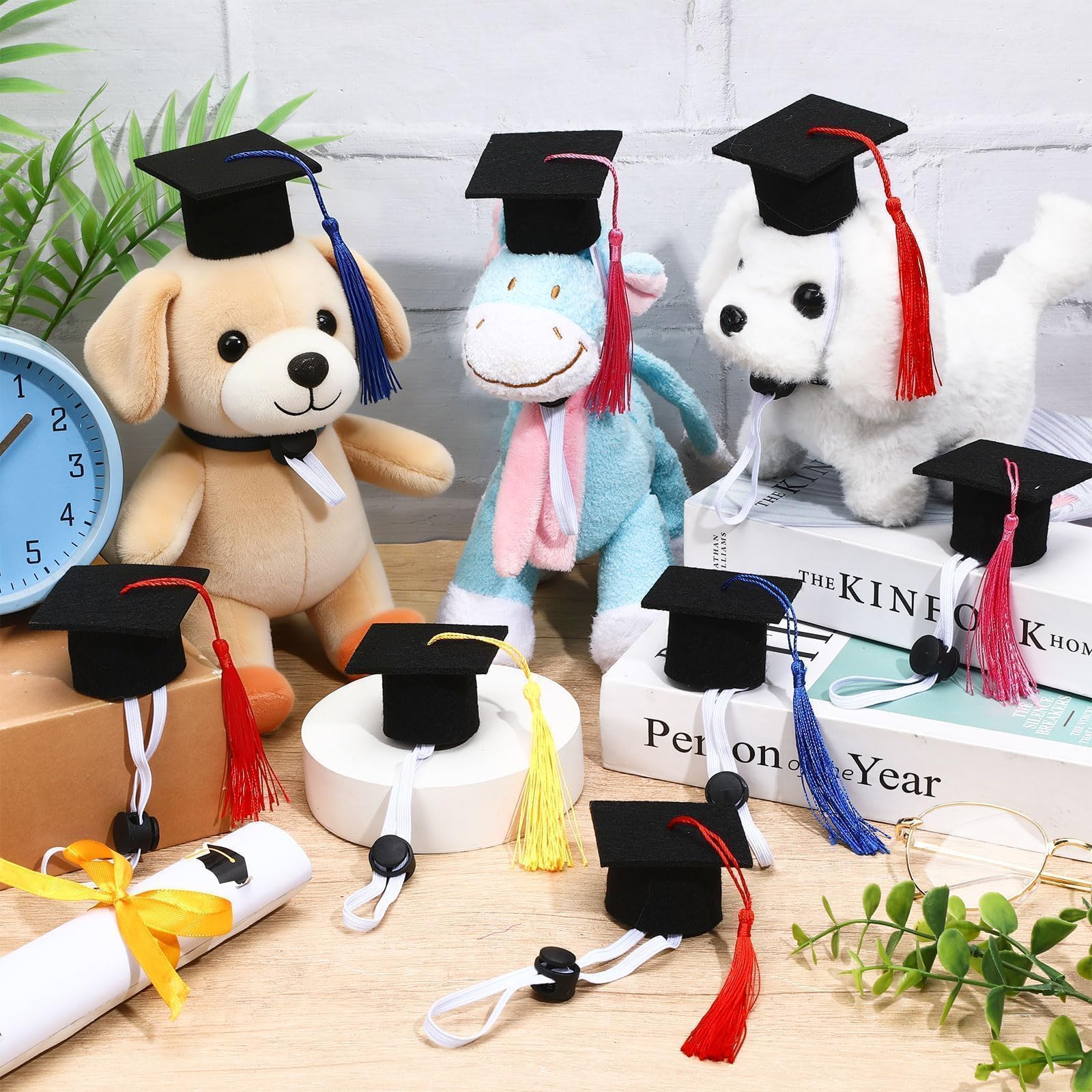 View 5