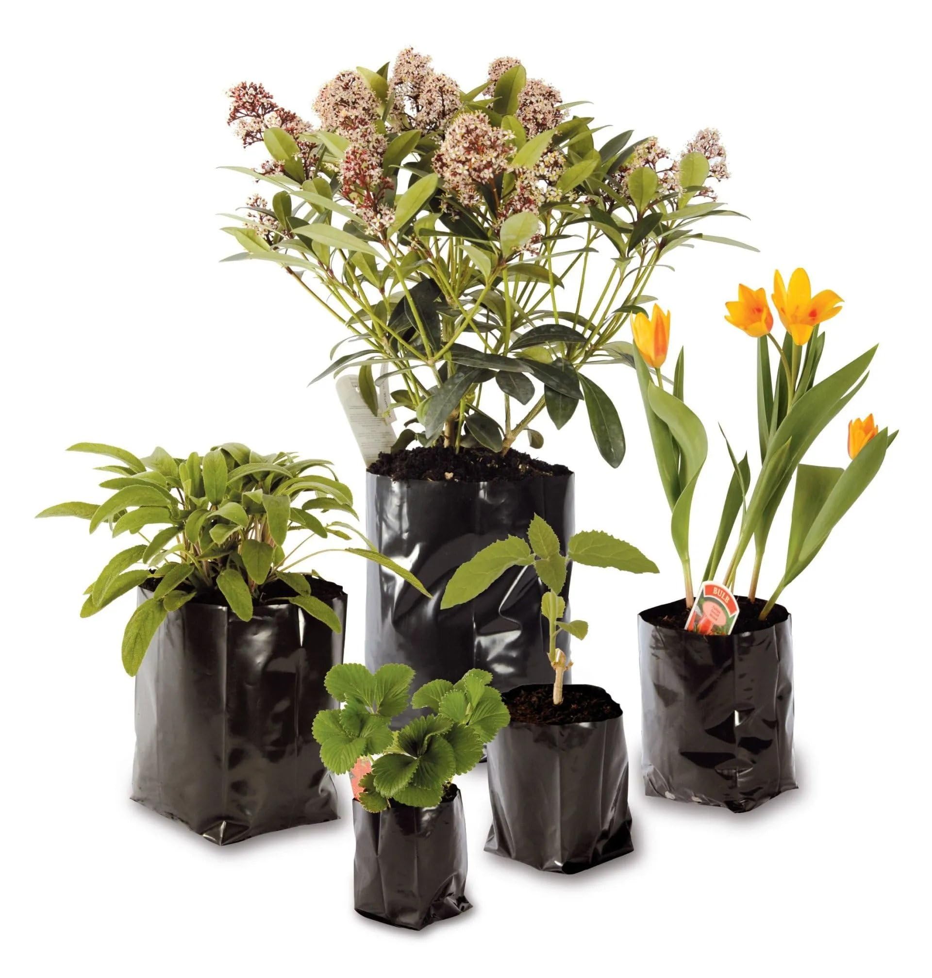 Oakland Gardens Poly Plant Pots Grow Bag Containers Hadopots Polythene Reusable Quality Recycled (10 x 13.5 Litre PolyBags)