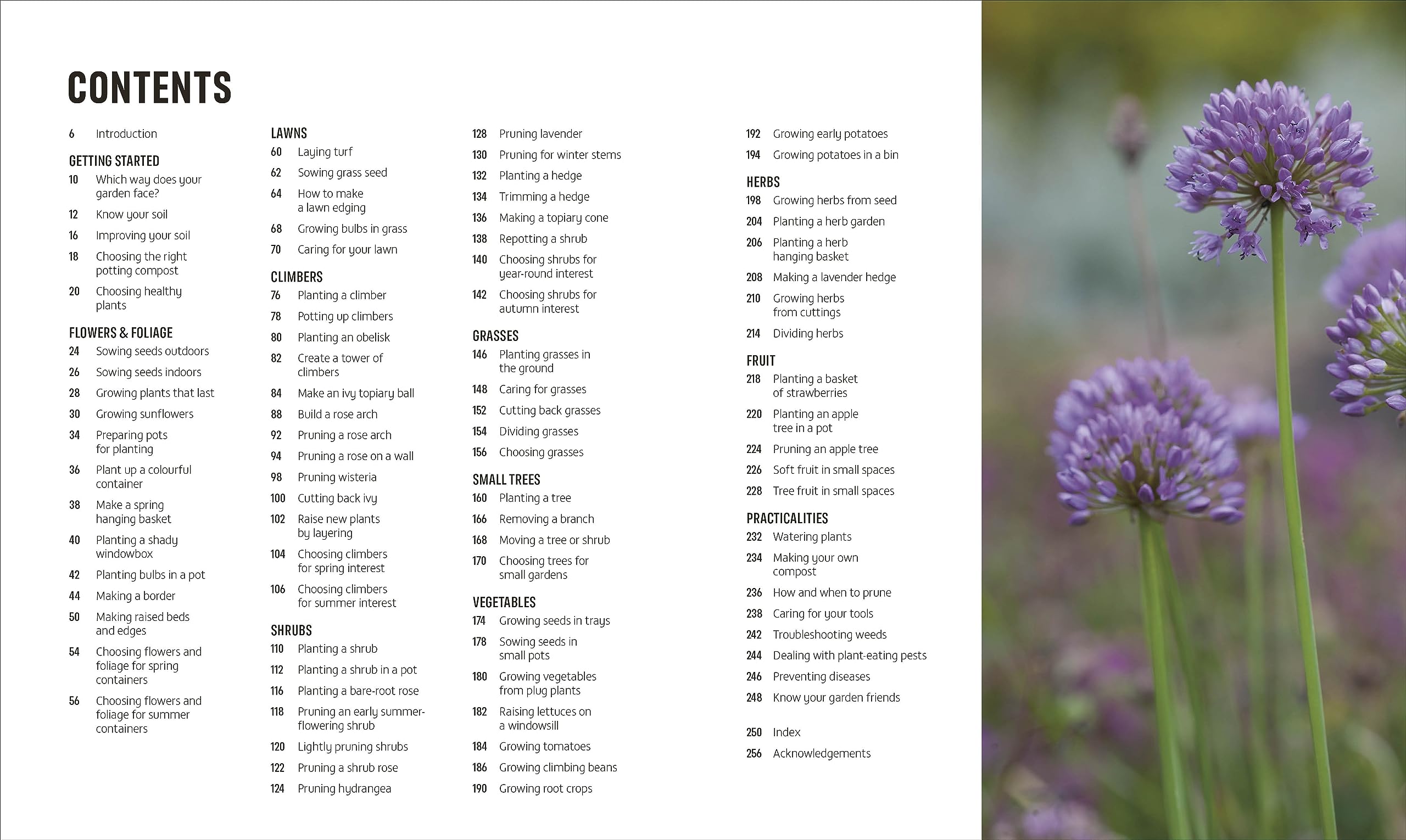 RHS How to Garden When You're New to Gardening: The Basics for Absolute Beginners