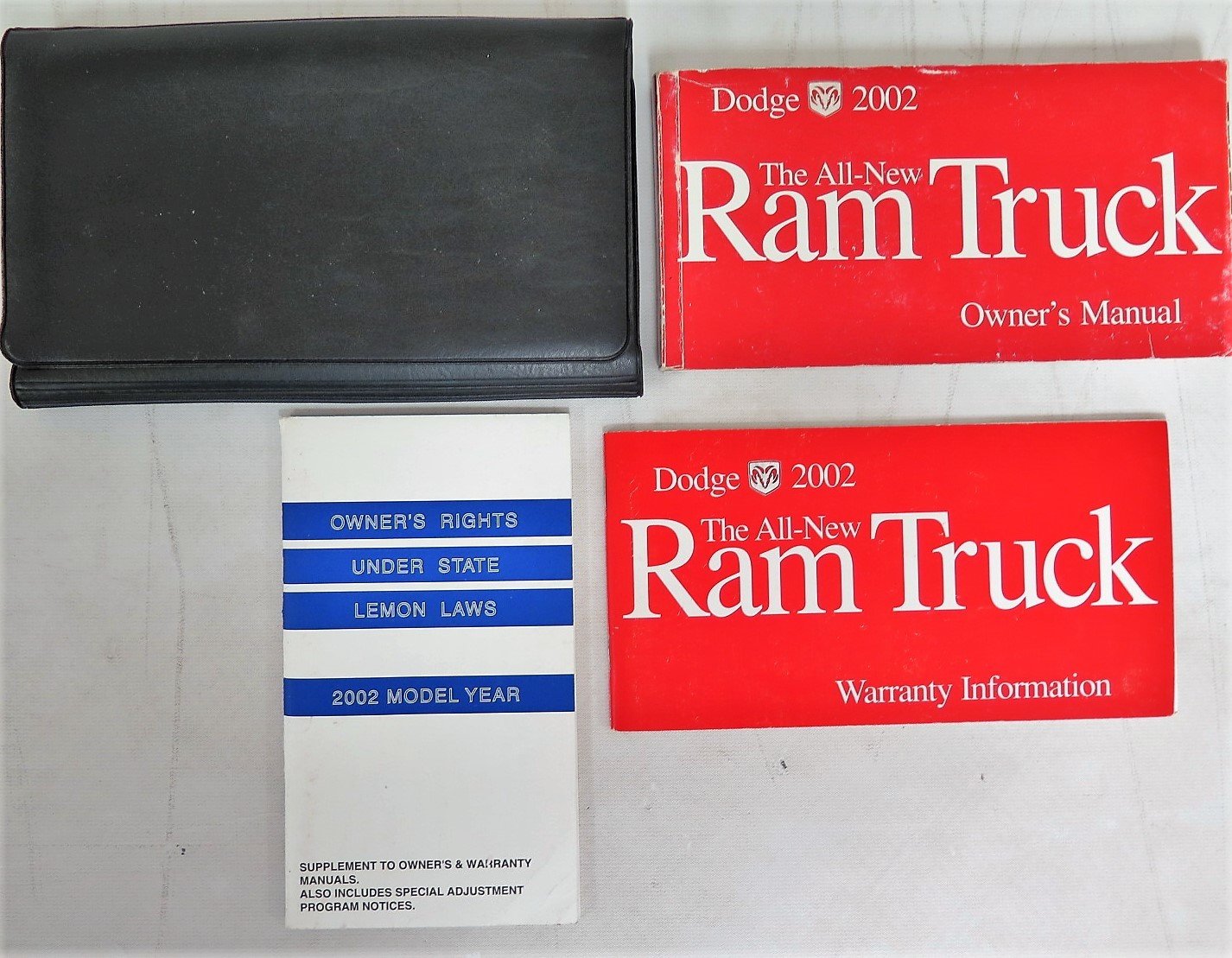 2002 DODGE RAM 1500 OWNERS MANUAL PDF visual data 6