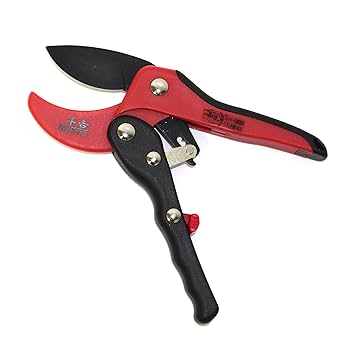 千吉 レディース ラチェット 剪定鋏 SGP-27R wgteh8f Amazon | 千吉 レディース ラチェット 剪定鋏 SGP-27R | 園芸用