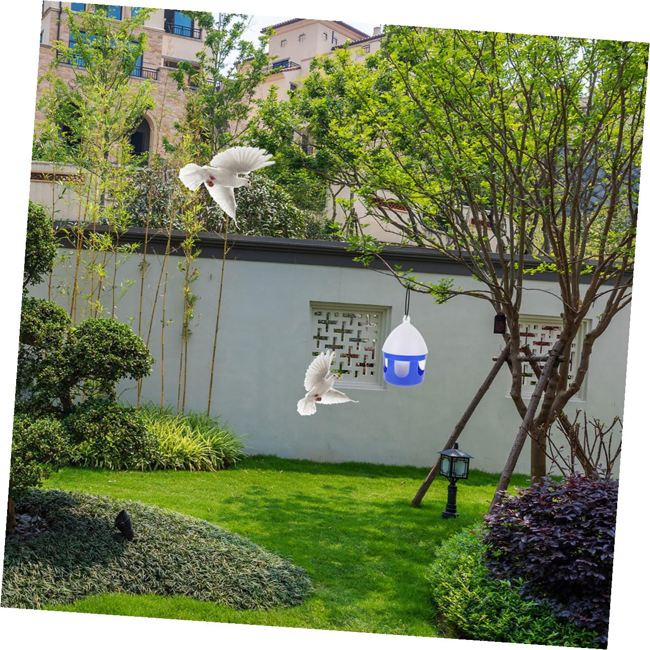 ibasenice Abreuvoir pour Oiseaux Domestiques Facile à Nettoyer en PVC Réutilisable 2l Lot de 2 Pièces pour Pigeons et Grives pour Élevage et Usage Quotidien