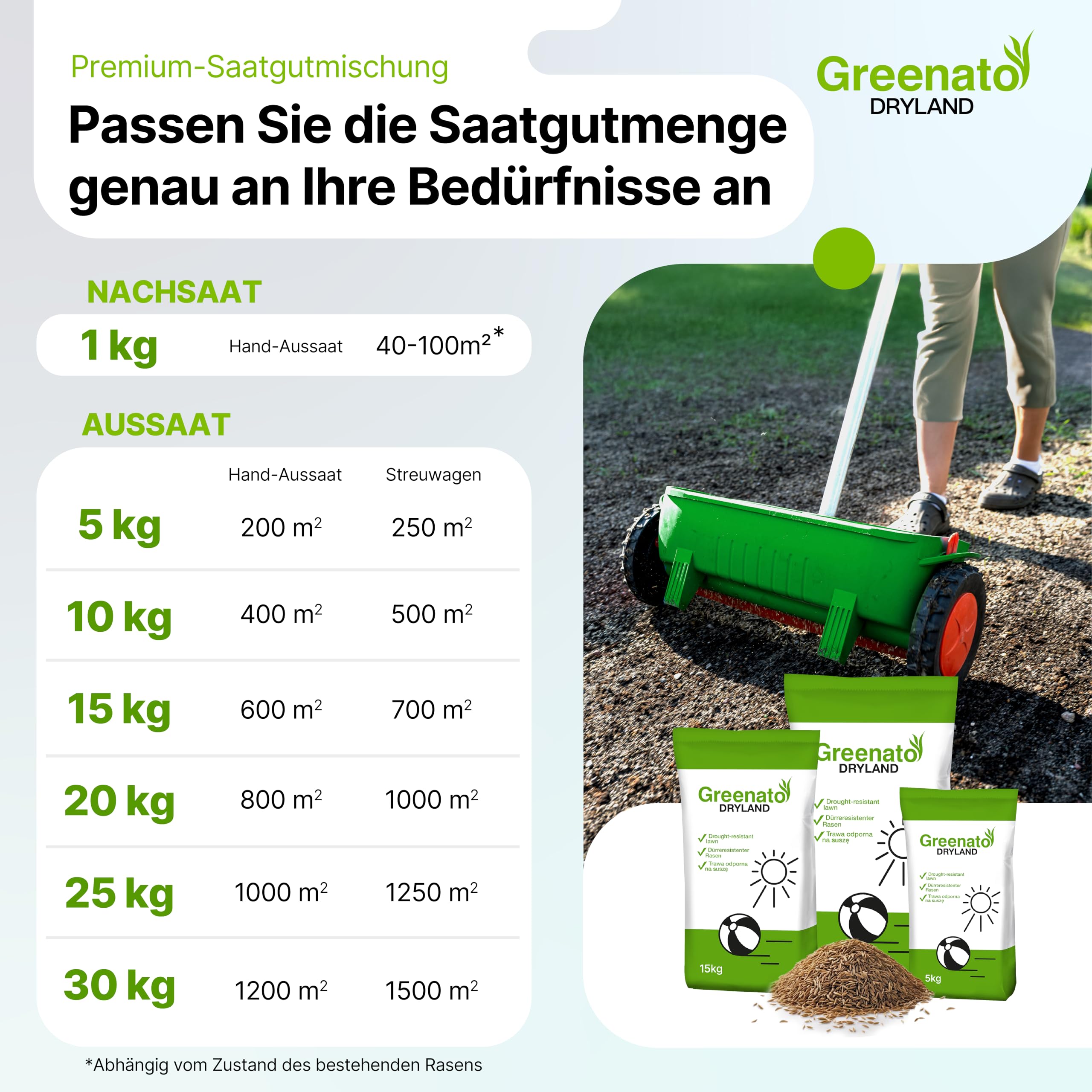 Semillas de Césped Greenato Dryland Resistentes a la Sequía 10kg