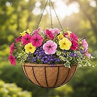 Vista 2 de Paquete de 4 macetas colgantes de metal de 8 pulgadas para exteriores, maceta colgante, soporte redondo y moderno, accesorio de jardín