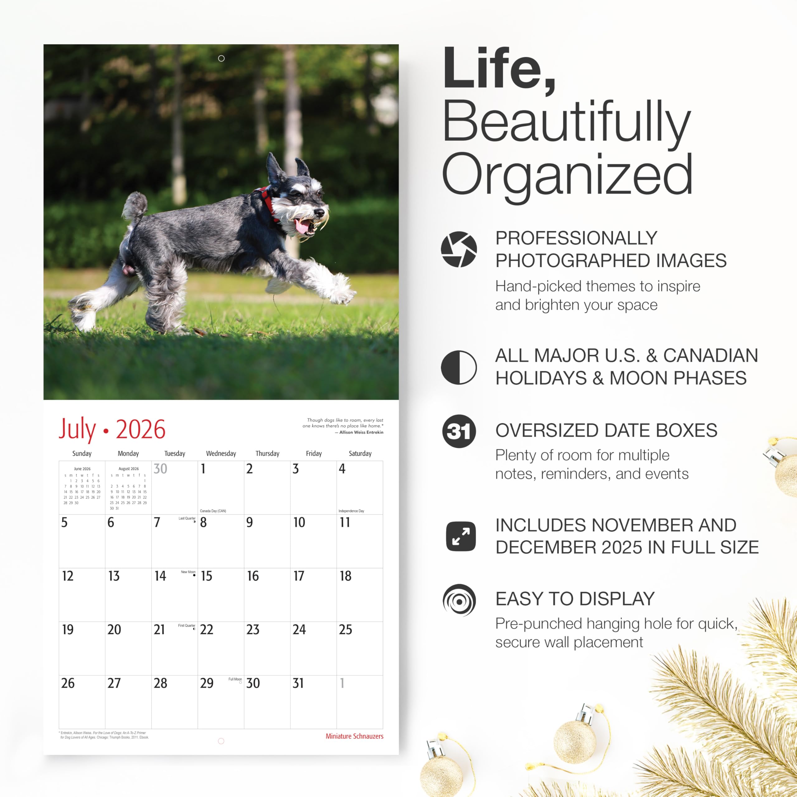 RED EMBER Miniatur Schnauzer Wandkalender 2026, 12 Monate, 30,5 x 61 cm offen, dickes & stabiles Papier, Geschenk, Kalender 2026