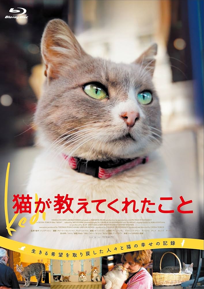 【廃盤】『猫が教えてくれたこと』 Blu-ray Amazon.co.jp: 猫が教えてくれたこと Blu-ray