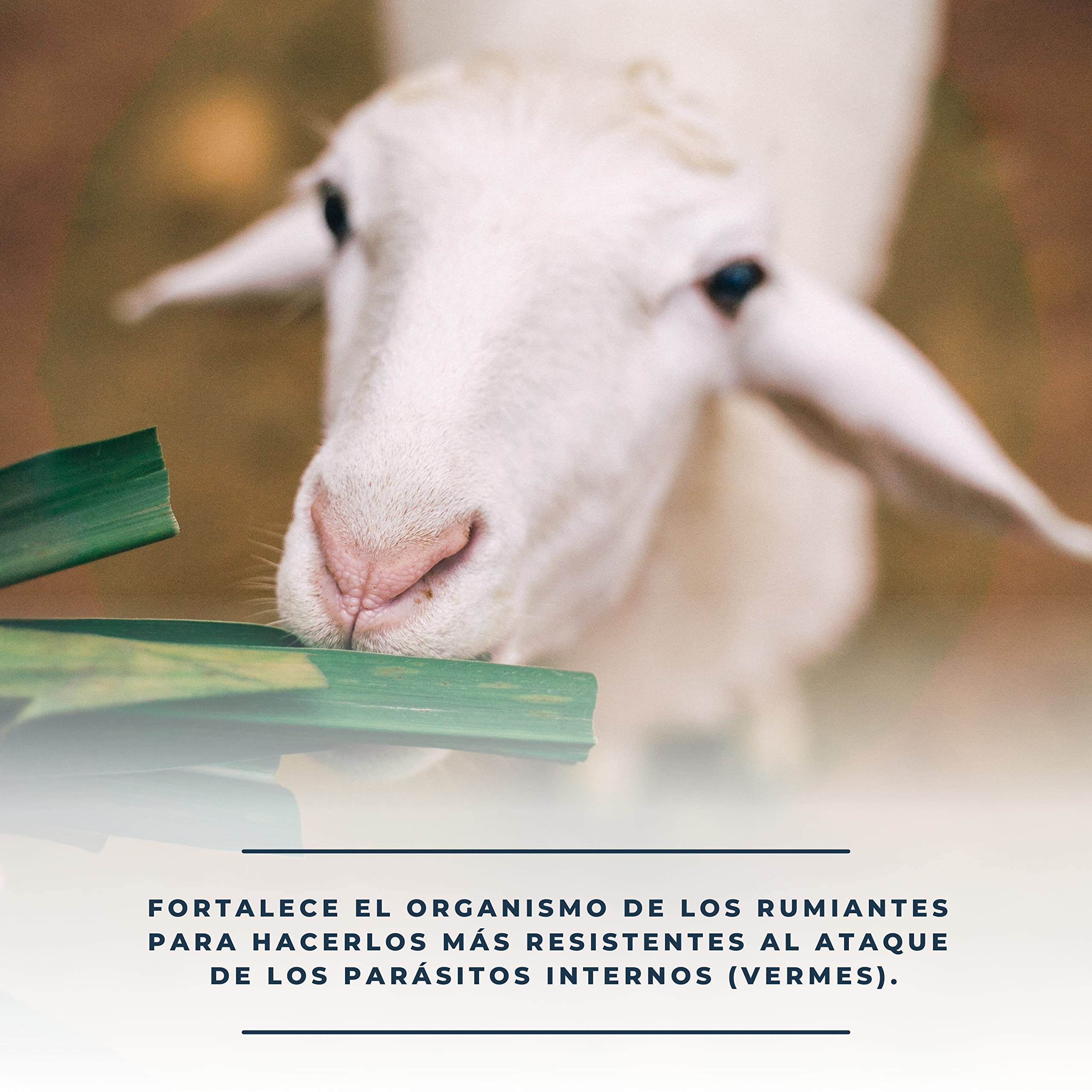 VermBloc (Ref. FCVBL) - Complemento mineral para rumiantes (vacas, cabras, corderos) – Apoyo nutricional en programas de control parasitario – Rico en minerales - 100 % natural - Contenido 10 kg