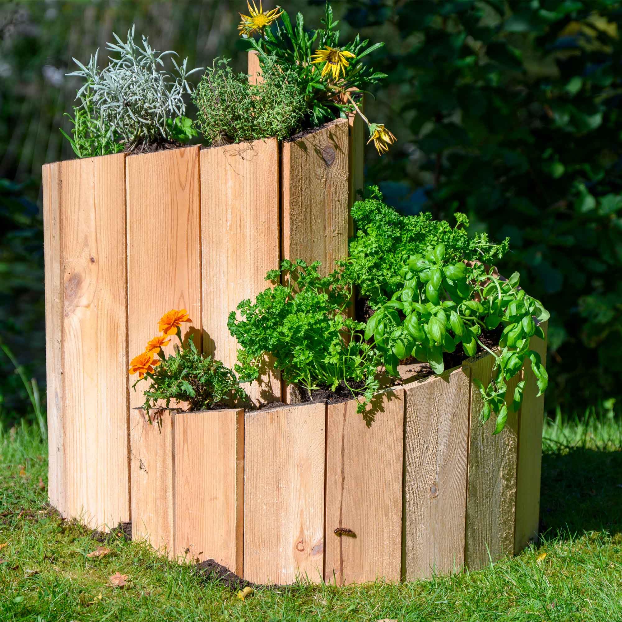 dobar® Green Label Kräuterspirale Massivholz | Kräuterschnecke Vormontiert | Unbehandeltes Holz | Kräutertreppe Kiefernholz Garten | Kräuterturm Bausatz | 250 x 68 cm | Natur