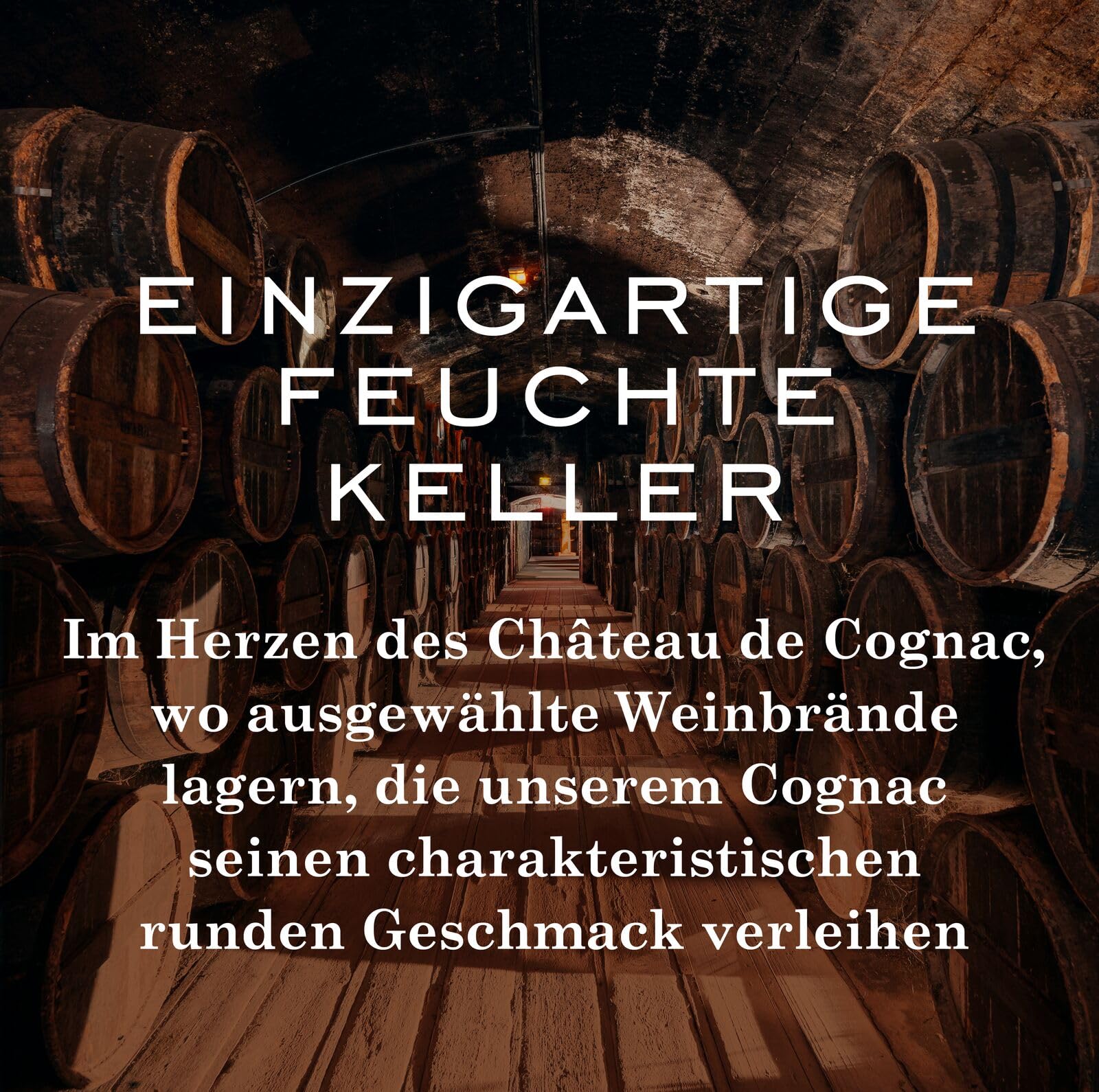 Baron Otard XO Gold Cognac, 40 Vol.-%, 70 cl / 700 ml, doppelt destillierter Premium-Cognac, gereift in Eichenfässern, mit Aromen von schwarzem Trüffel, Sandelholz und Pflaume