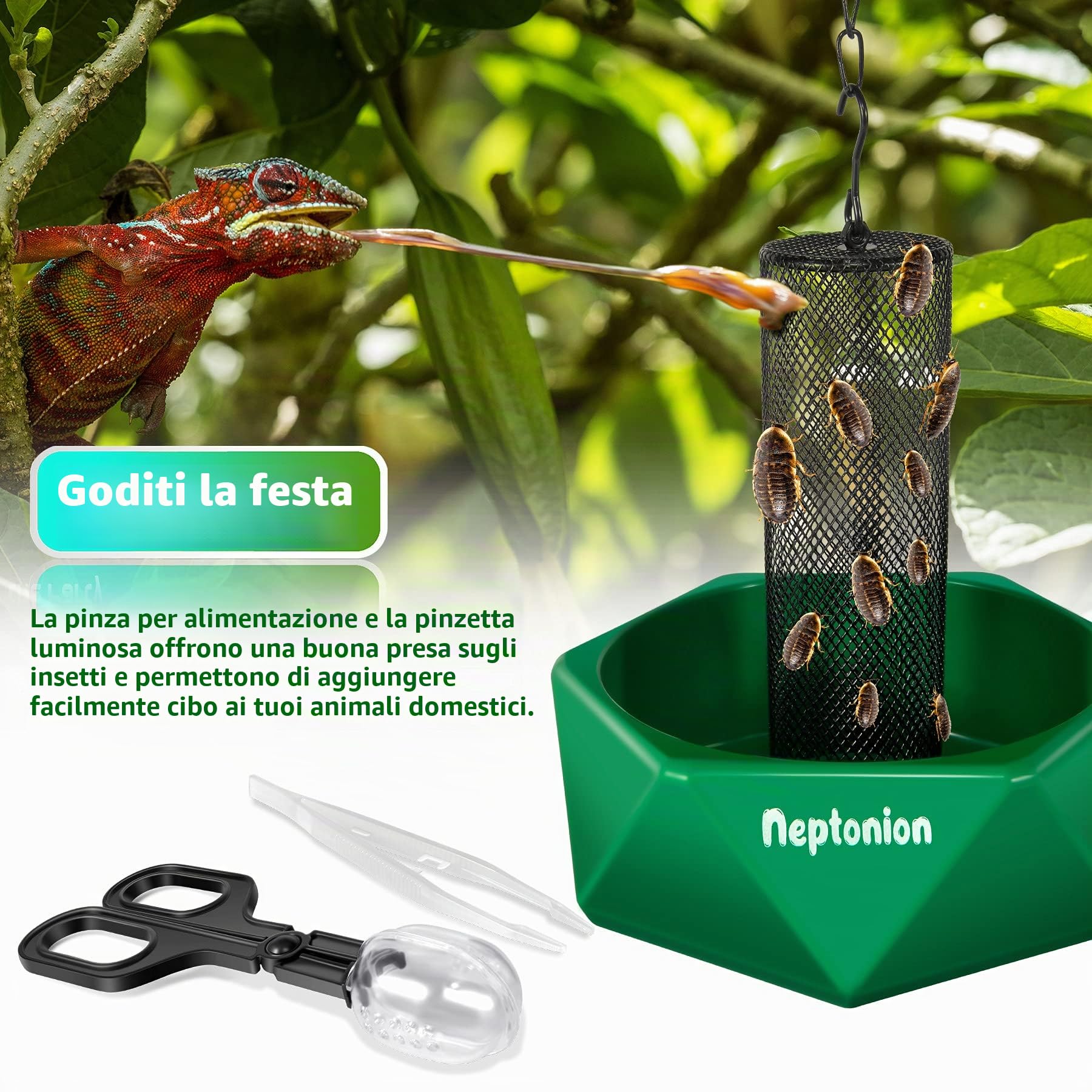 Ciotola per insetti camaleonte agganciabile con colonna per arrampicarsi e muoversi, adatta per lucertola, drago barbuto, iguana, geco, rospo, rana