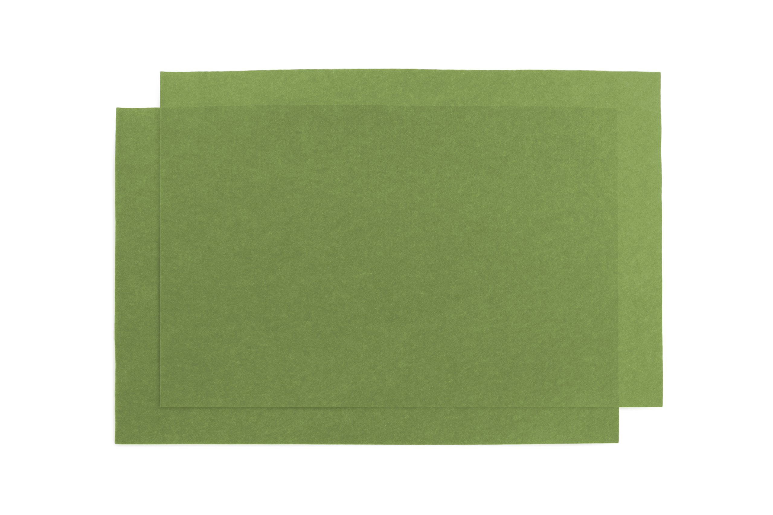 Reptile Carpet, Olive 24" x 48", Two Sheets