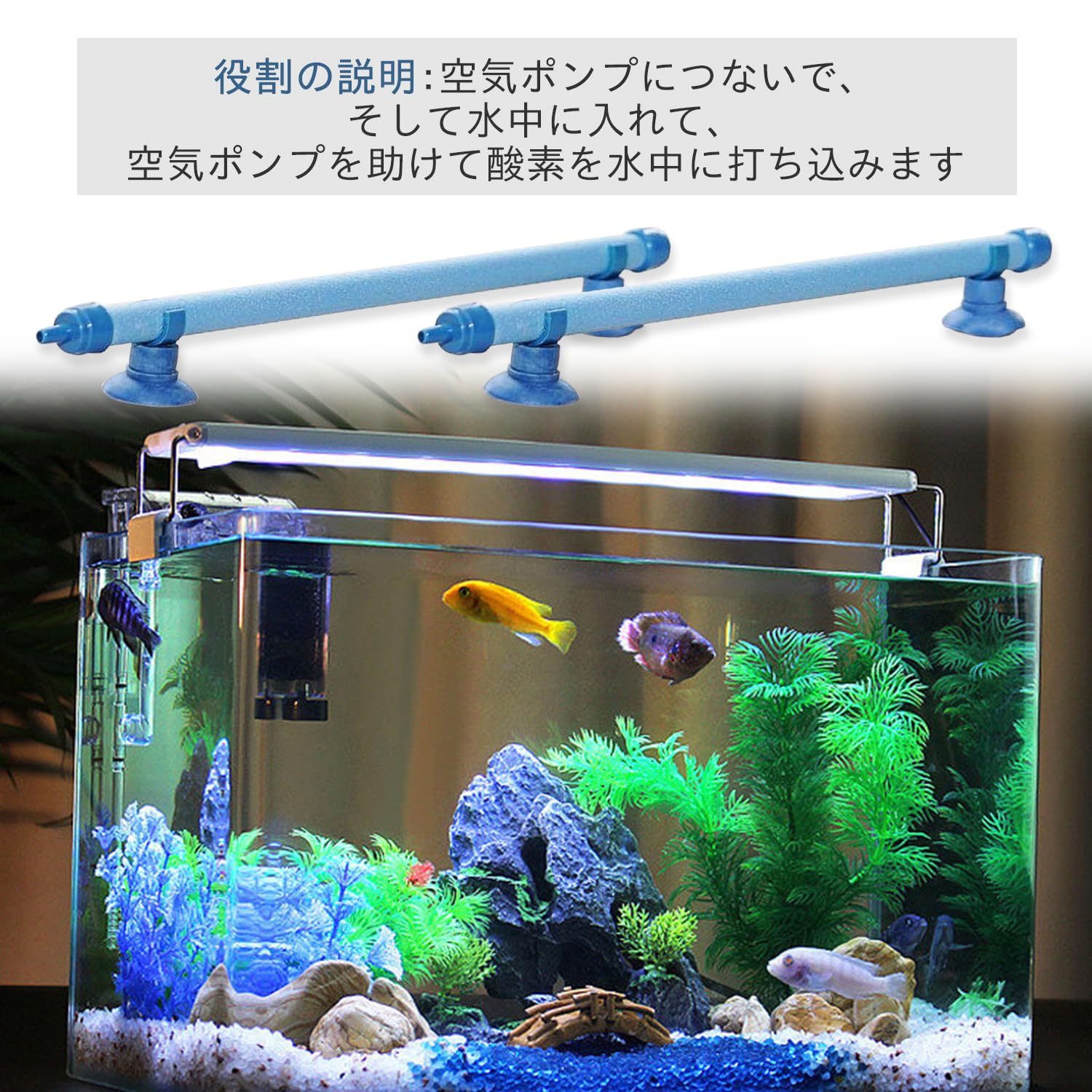Amazon | 水槽 バブル 壁 魚 タンク エアストーン バブル 水族館バブル