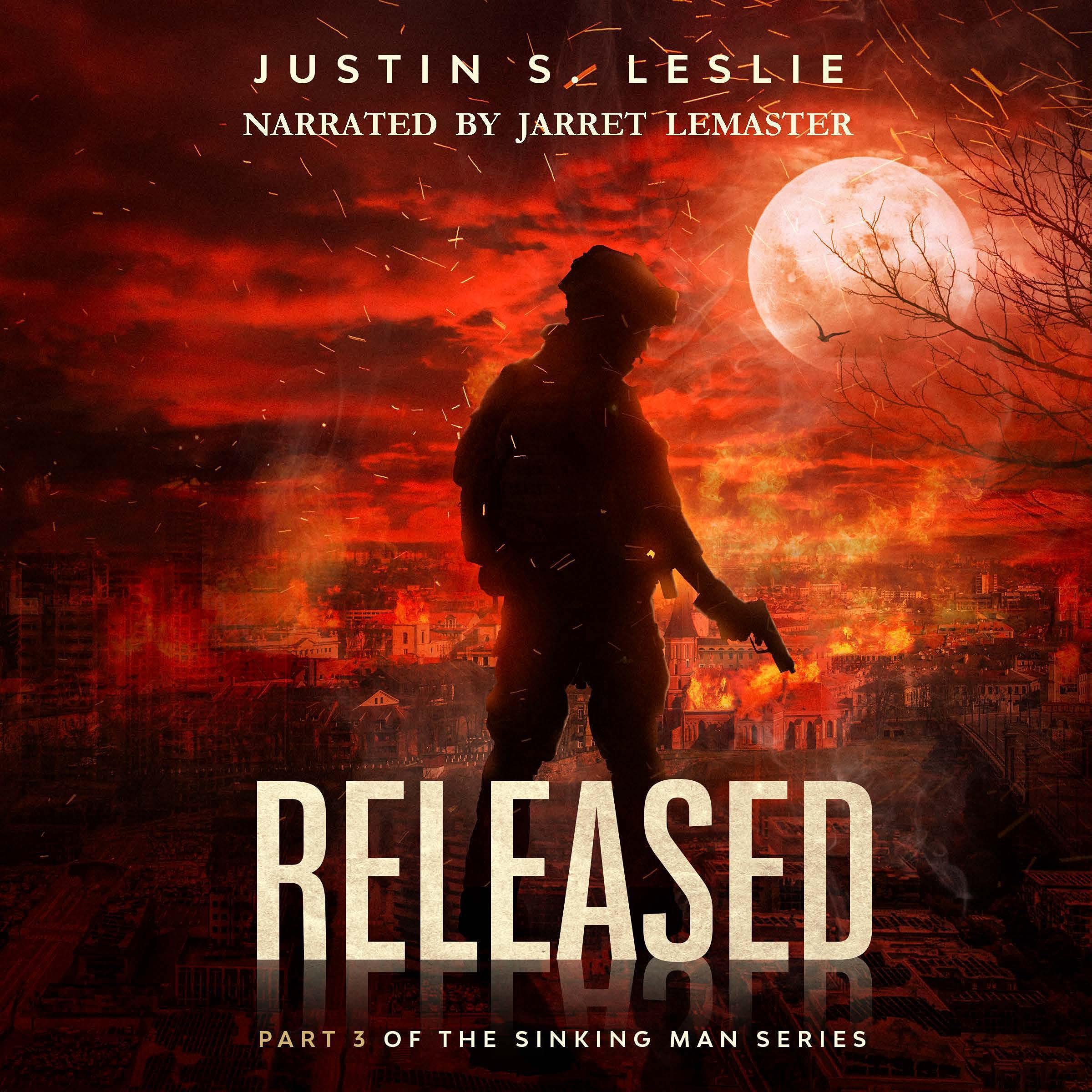 Cover art for Released: Part 3 of the Sinking Man Series