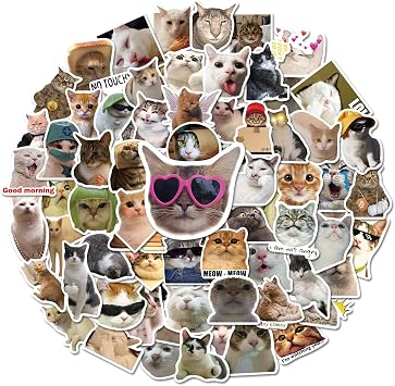 100 Pcs Cat Stickers, Cute Meme Kitten Stickers for Water Bottles Laptop Guitar Suitcase, DIY Waterproof Vinyl Decals Gifts for Adults Teens Kids Boys Girls