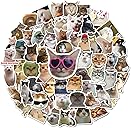 100 Pcs Cat Stickers, Cute Meme Kitten Stickers for Water Bottles Laptop Guitar Suitcase, DIY Waterproof Vinyl Decals Gifts for Adults Teens Kids Boys Girls
