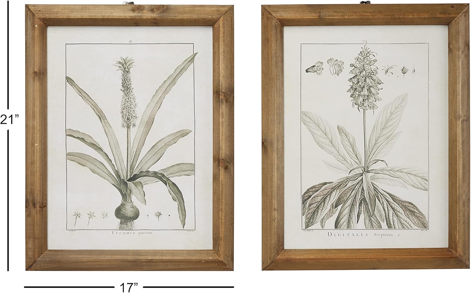 Light Brown and White Botanical Print Wall Art Set