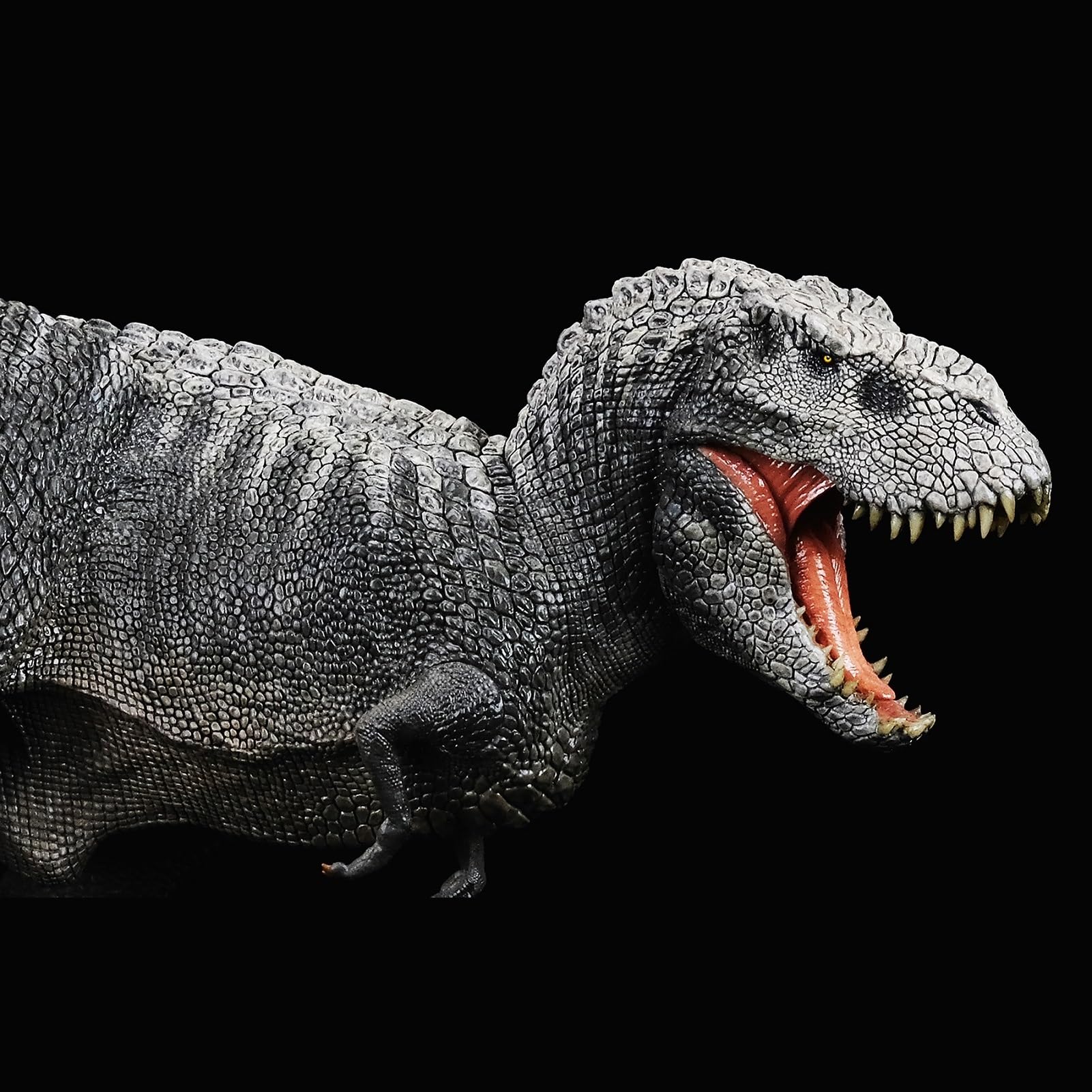 Amazon.com: XINPANYIAN Rebor 1:35 Scale Tyrannosaurus Rex
