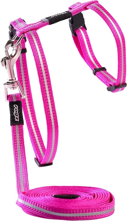 combination harness