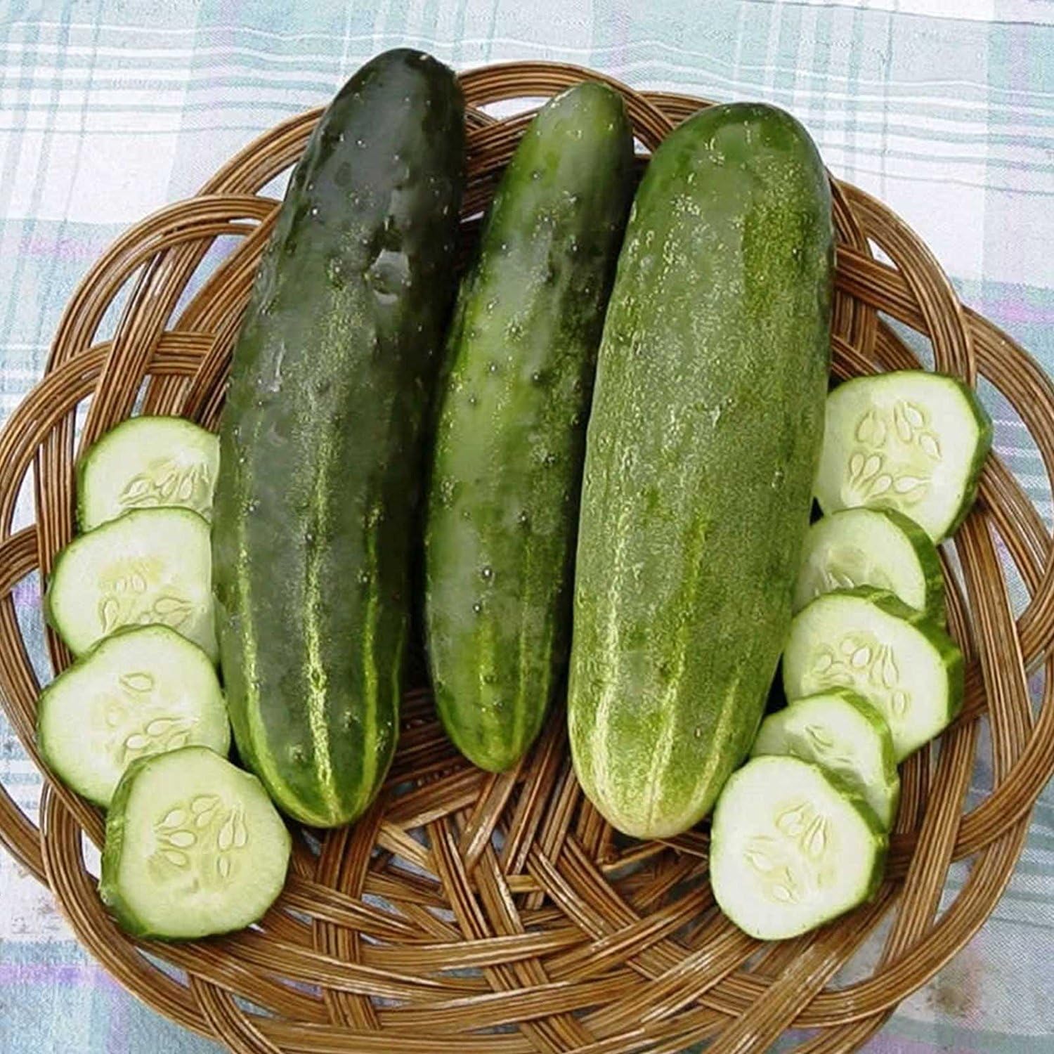 Ashley Cucumber Garden Seeds - 1 Lb - Non-GMO, Heirloom Vegetable Gardening Seed - Cucumis sativas