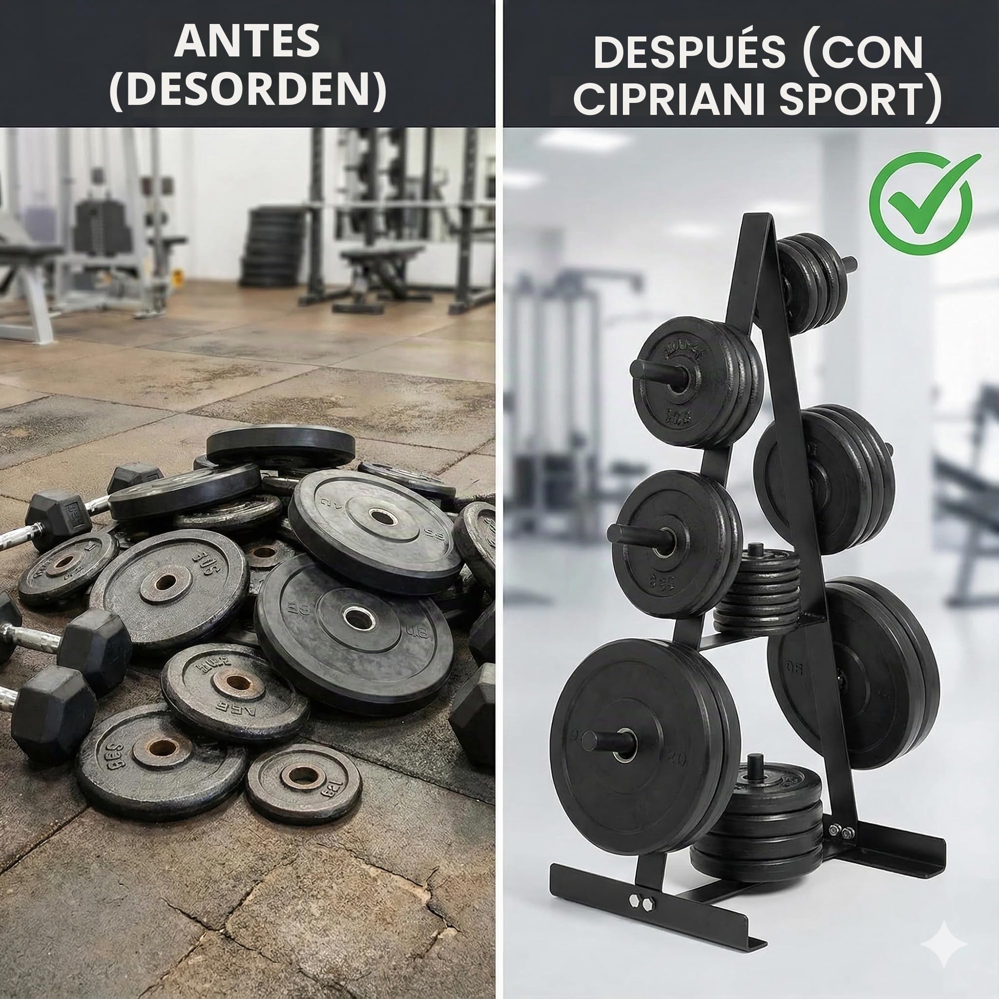 Soporte para discos y manillares parent