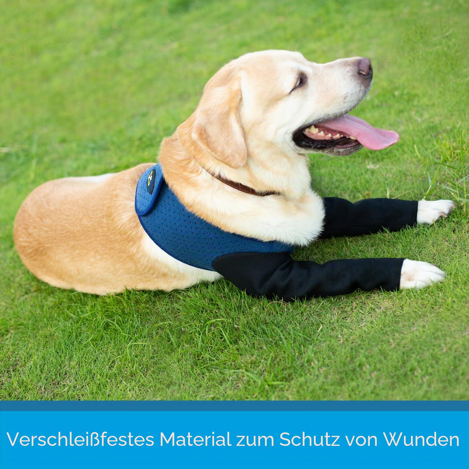 Coodeo Hunde-Genesungsmanschetten, eine Alternative zu dem Halskonus, Abriebfeste Hunde-Genesungskleidung, waschbar und wasserdicht, verhindert das Lecken und Bissen von Wunden beim Tier（Blau，XL