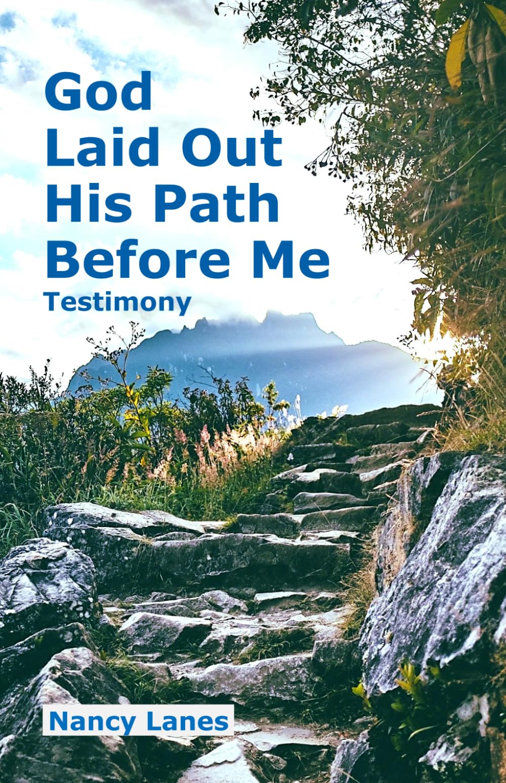 God Laid Out His Path Before Me - Testimony