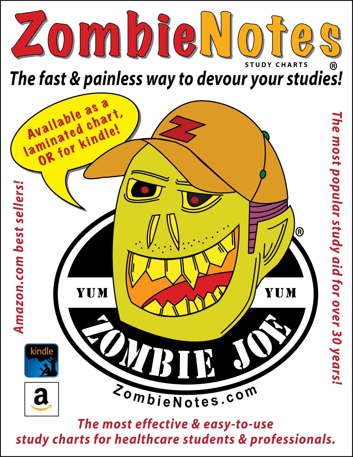 Zombie Notes ABG Interpretation And Worksheet (laminated card)