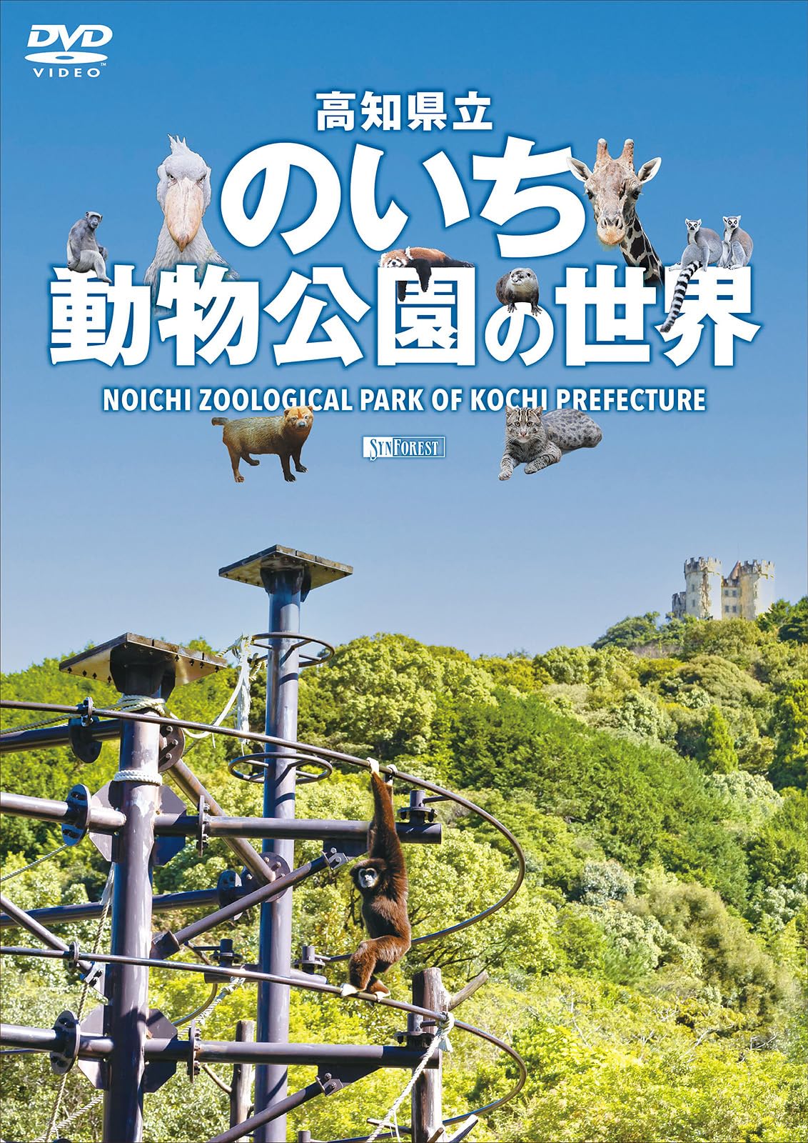 Amazon.co.jp: シンフォレストDVD 高知県立のいち動物公園の世界