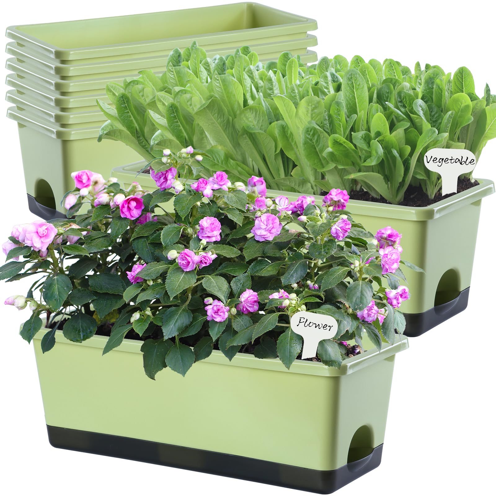 Oliz Window Box Planter