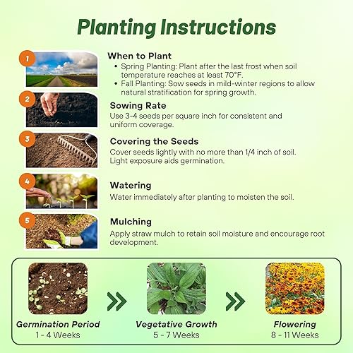 Miniatura 4 de Outsidepride Rudbeckia Equinácea All Sorts - Mezcla de semillas de flores Susan de ojos negros, 100 semillas