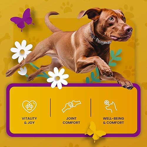 Miniatura 6 de Suplemento de cadera y articulaciones para perros  Glucosamina condroitina para perros  Extiende el cuidado de las articulaciones, soporte de