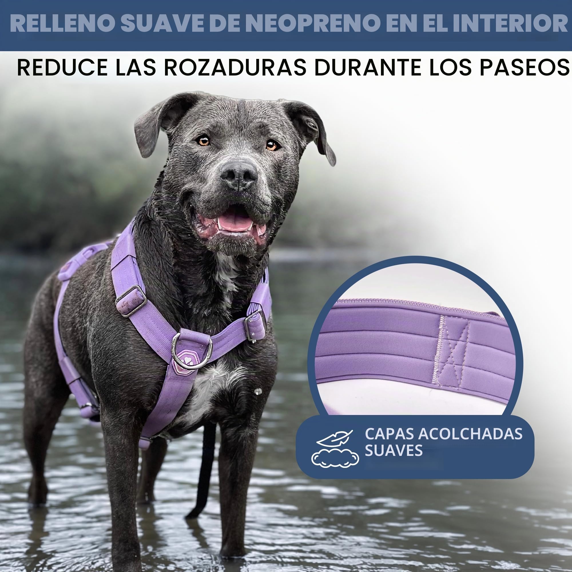 Spark Paws Arnés antitirones para perros grandes, arnés resistente para razas grandes y fuertes, ajustable, diseño halter acolchado en forma de Y con clip frontal, morado, grande