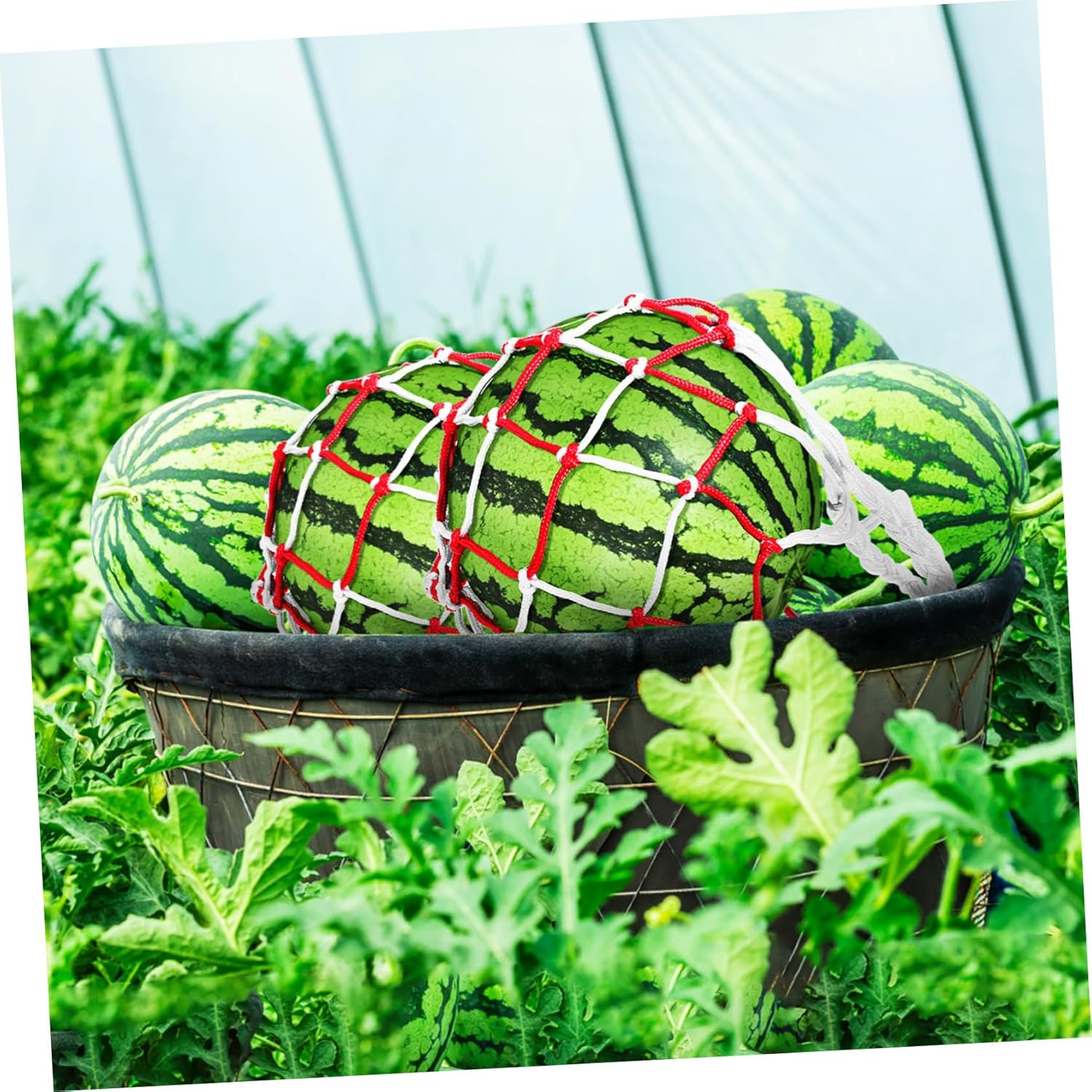 10pcs Watermelon Support Nets Mesh Bags for Trellis Fruit Hammock Breathable Easy Hanging Garden Essential