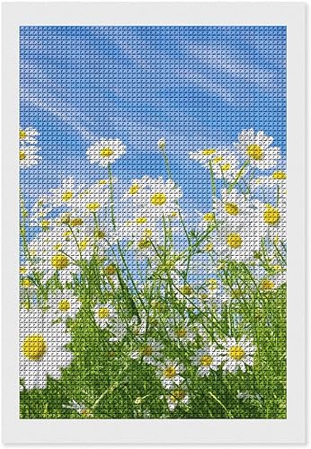 Kit de pintura de diamante de margarita, taladro cuadrado completo, manualidades artísticas para decoración de pared del hogar