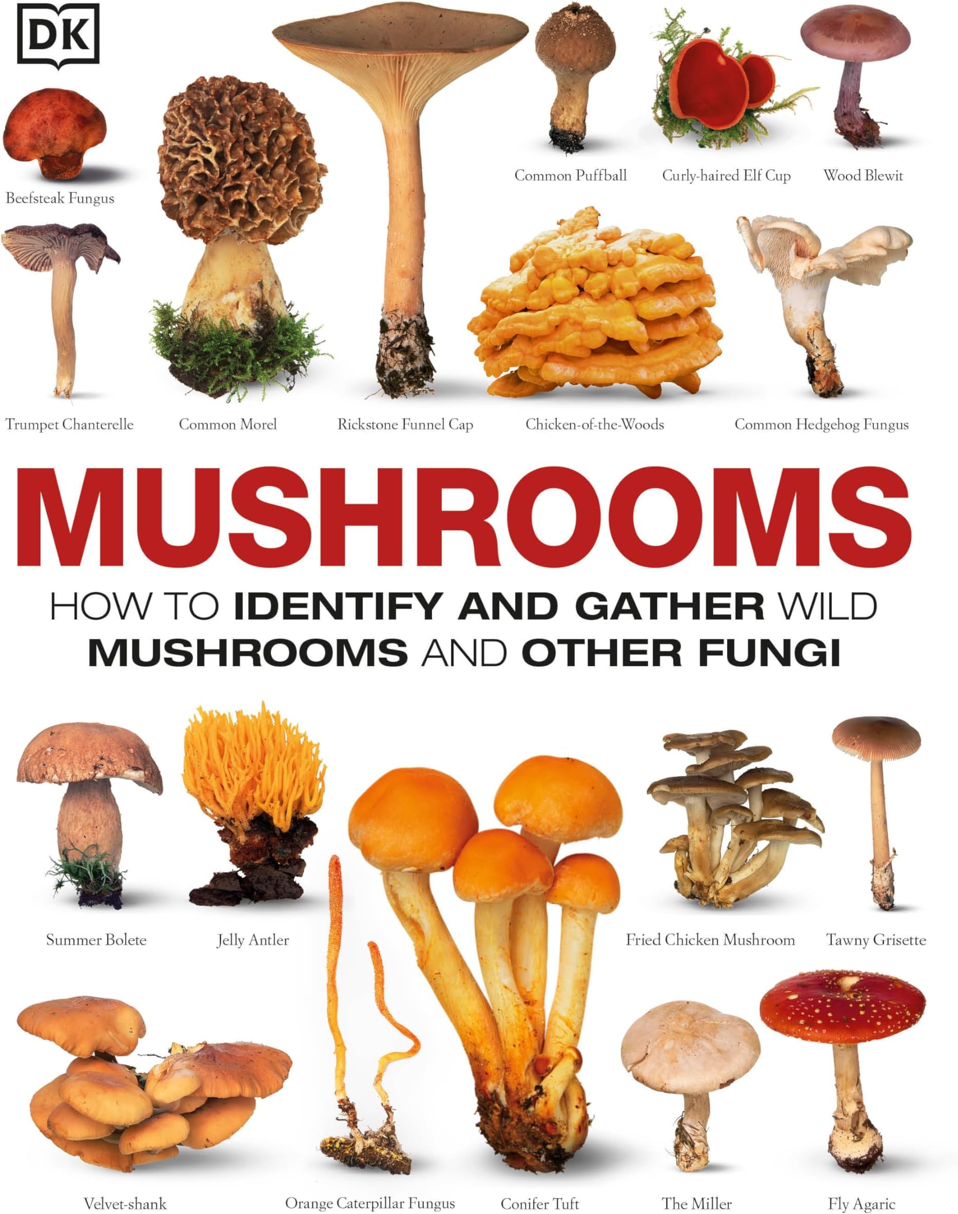 Mushrooms: How to Identify and Gather Wild Mushrooms and Other Fungi