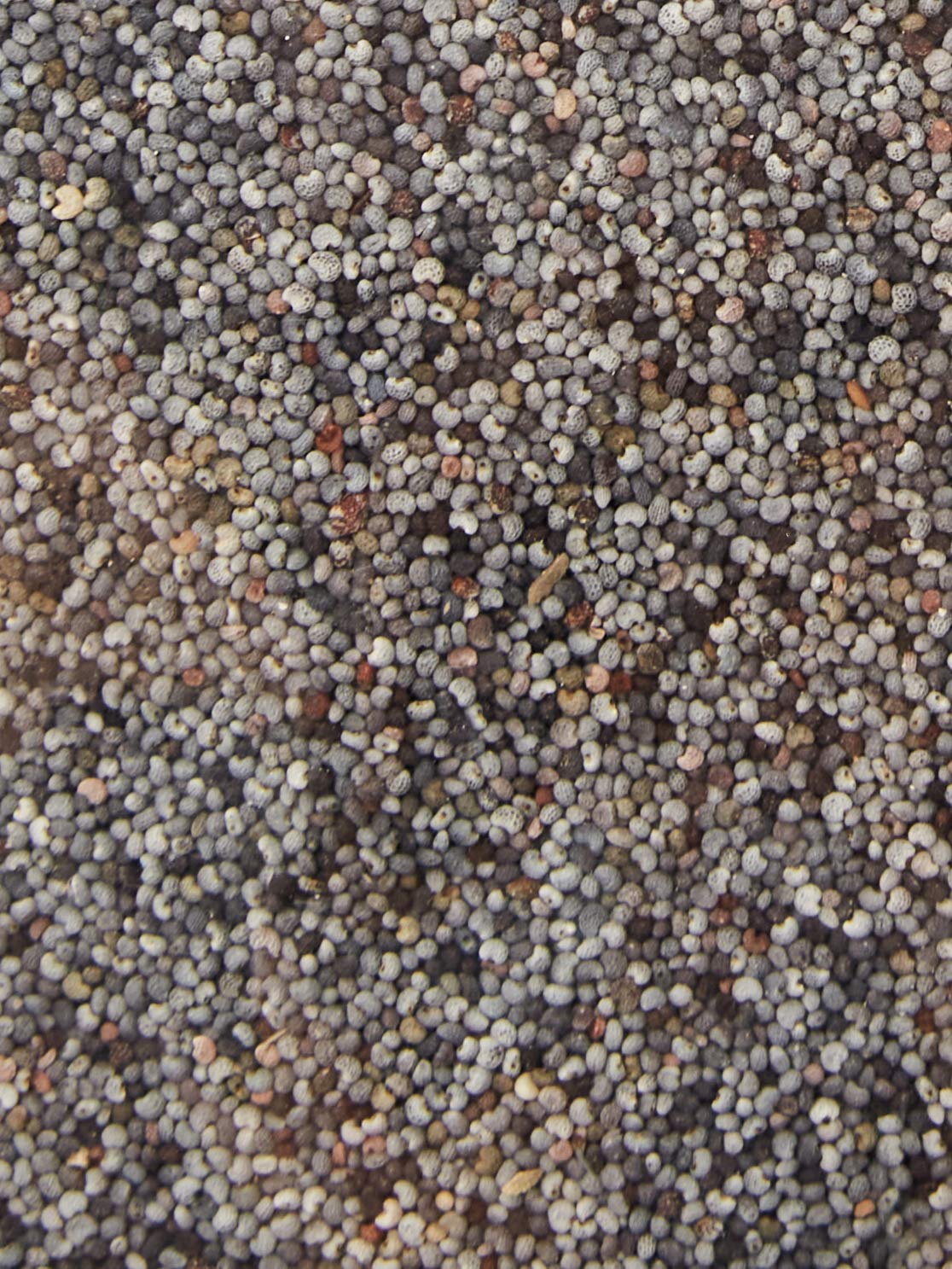 Probios Semillas de amapola 1kg bio