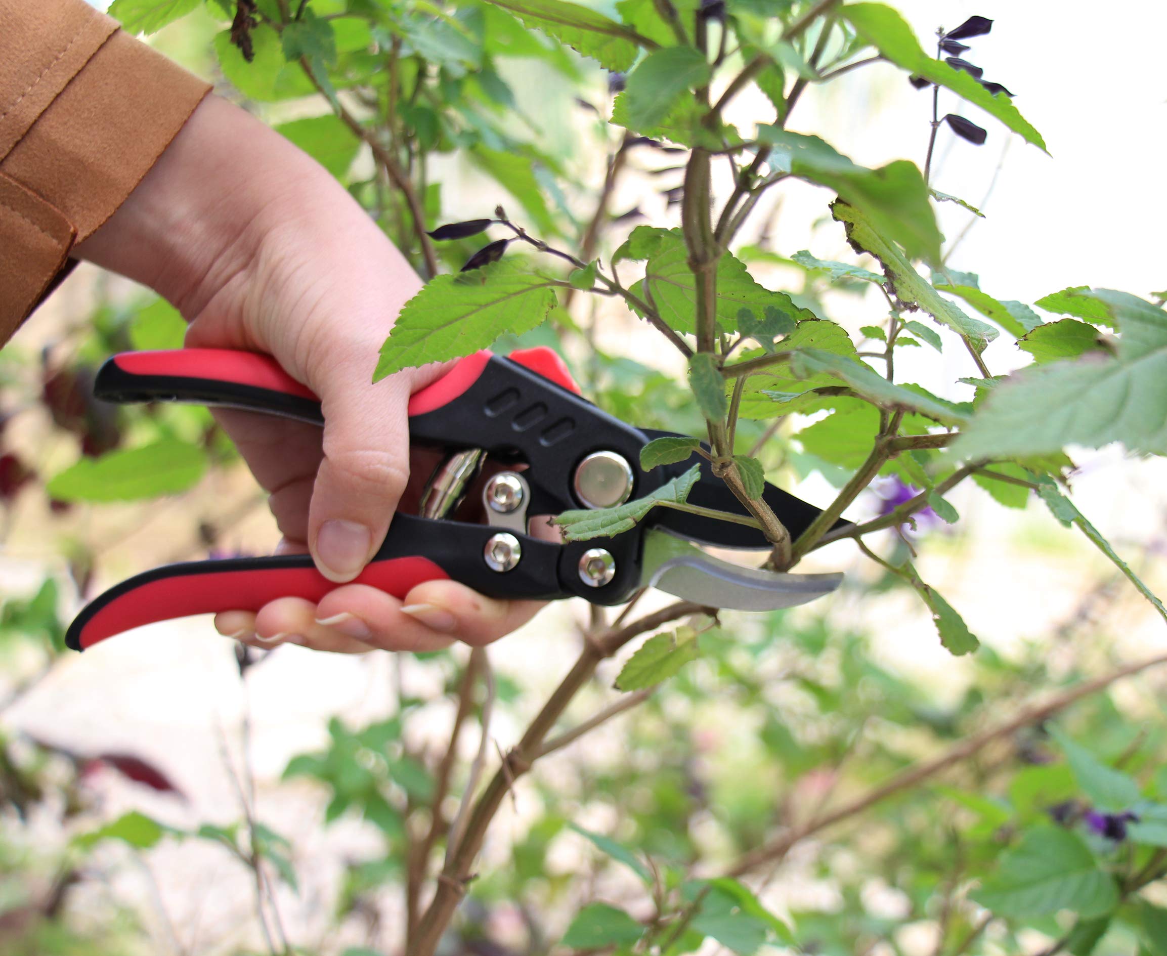 Professional Gardening Tools Compound Action Anvil Pruner ...