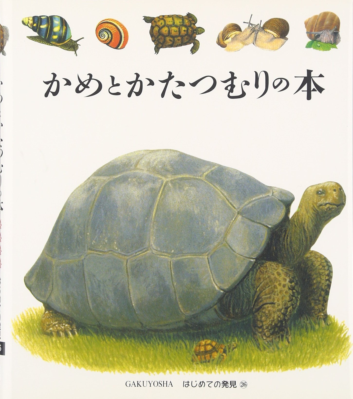 かたつむり 6f6c731b-6886-4161-bd1a-