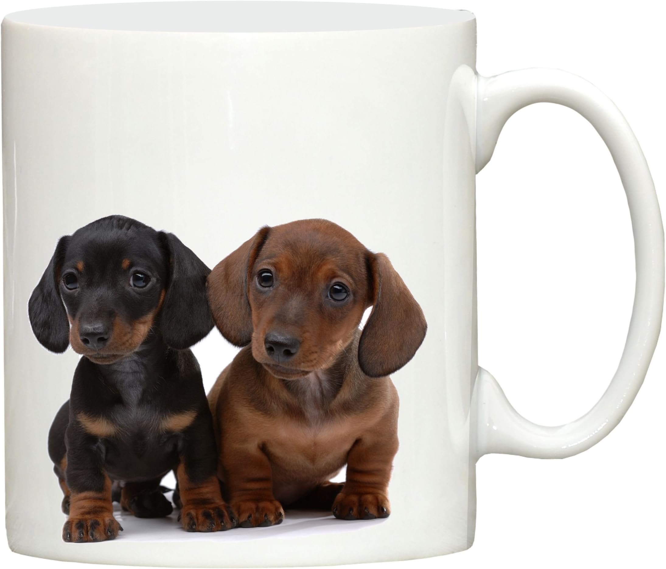Dachshund Puppies sausage dog mug with dogs on ceramic dog lover gifts great for tea and coffee