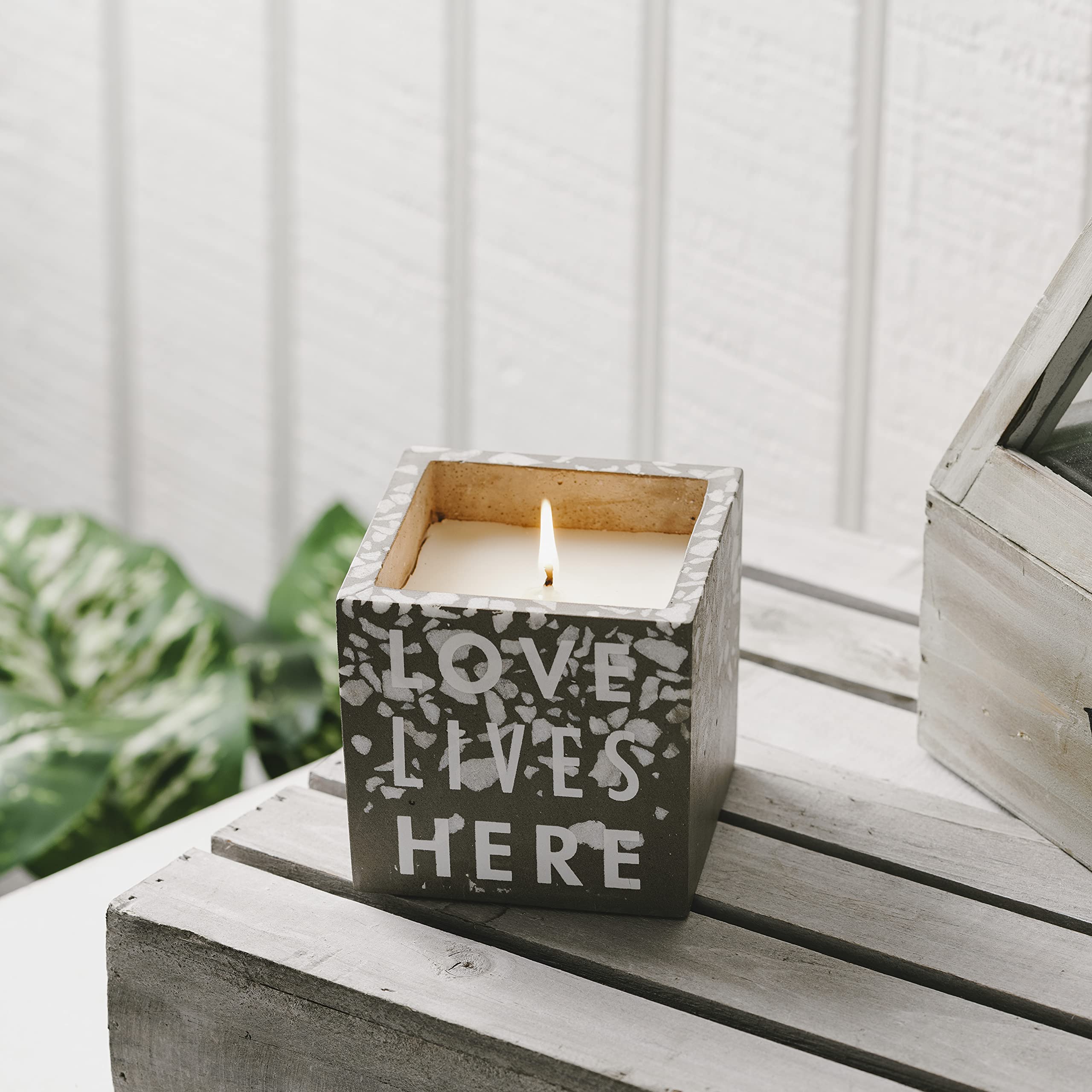 Pavilion - Candela a stoppino singolo Square Love Lives Here 100% cera di soia da 8,9 cm, Candela Profumata fragranza serenity