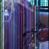 Broken Screen Wallpaper