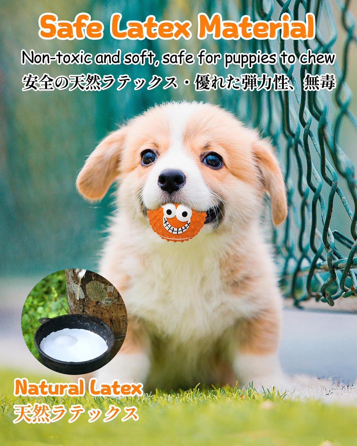 Unleash Fun with SCHITEC Squeaky Dog Balls: The Ultimate Fetch Toys for Small Dogs!